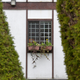 Illustration for article titled Pics from the Curbside: 2018-04-08 from Langara Gardens